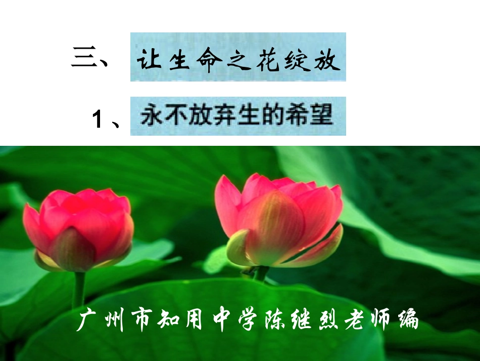 让生命之花绽放_第1页