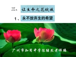 让生命之花绽放