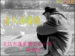 文昌市蓬莱镇中心小学陈美仿PPT