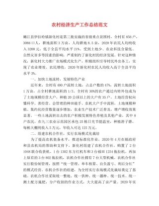 农村经济生产工作总结范文 