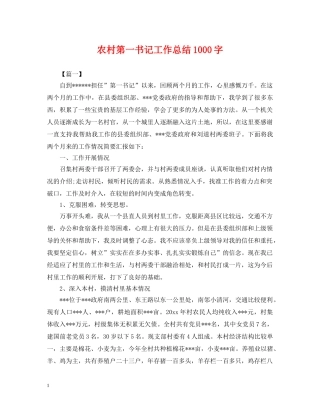 农村第一书记工作总结1000字 