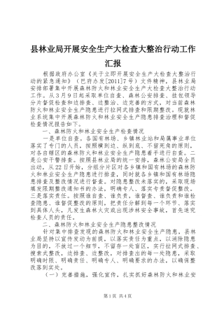 县林业局开展安全生产大检查大整治行动工作汇报