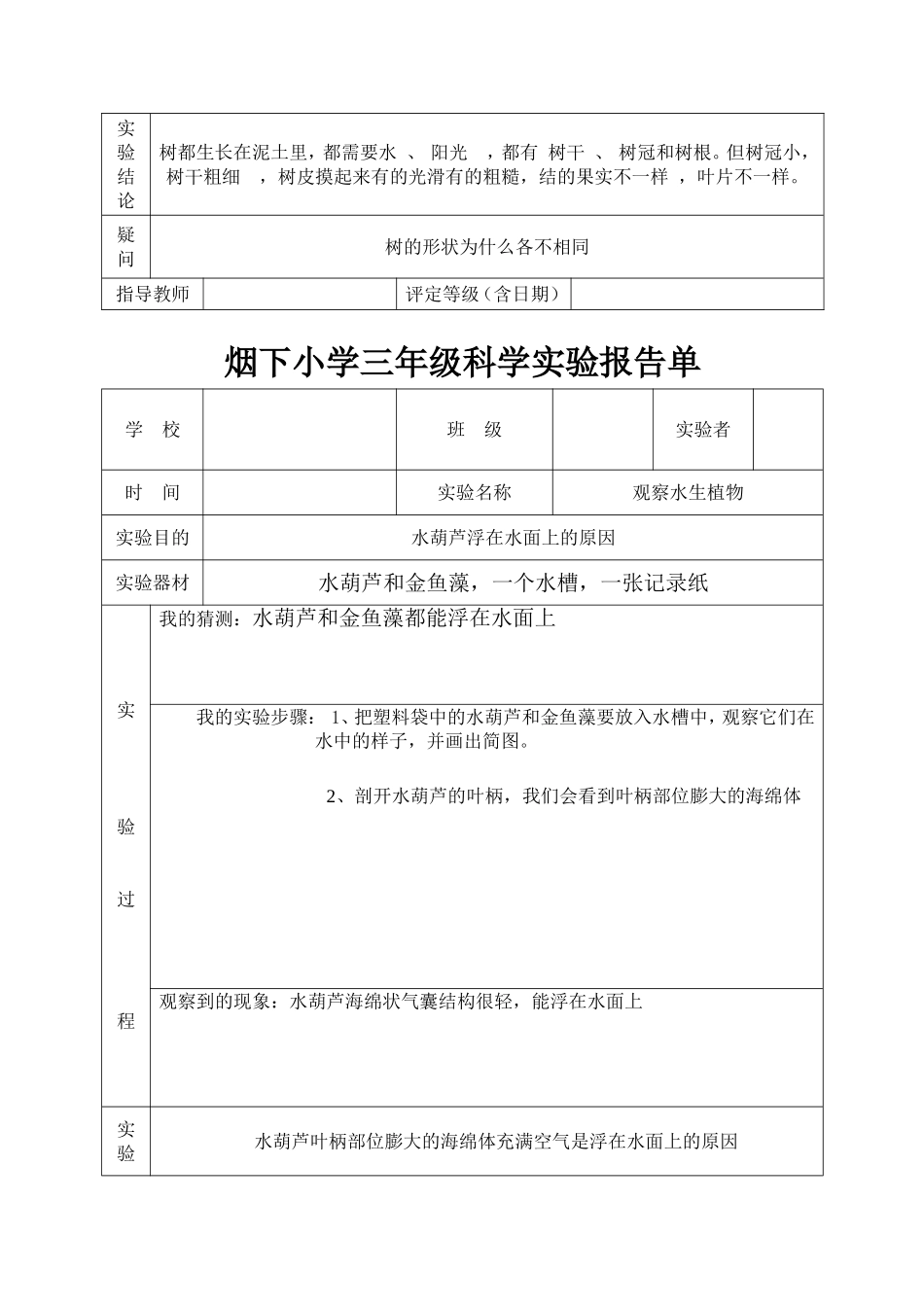教科版三年级上册科学实验报告单[1]_第3页