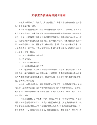 大学生外贸业务员实习总结 