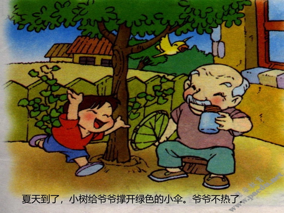 爷爷和小树课件_第3页