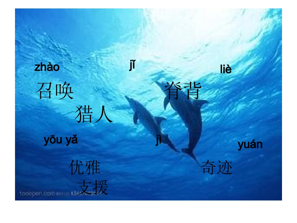 喜爱音乐的白鲸 (2)_第3页