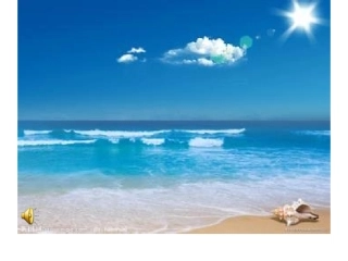 喜爱音乐的白鲸 (2)