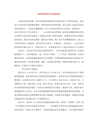 农村水利年终工作总结范文 