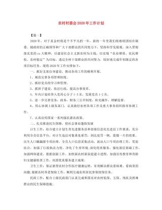 农村村委会2020年工作计划 