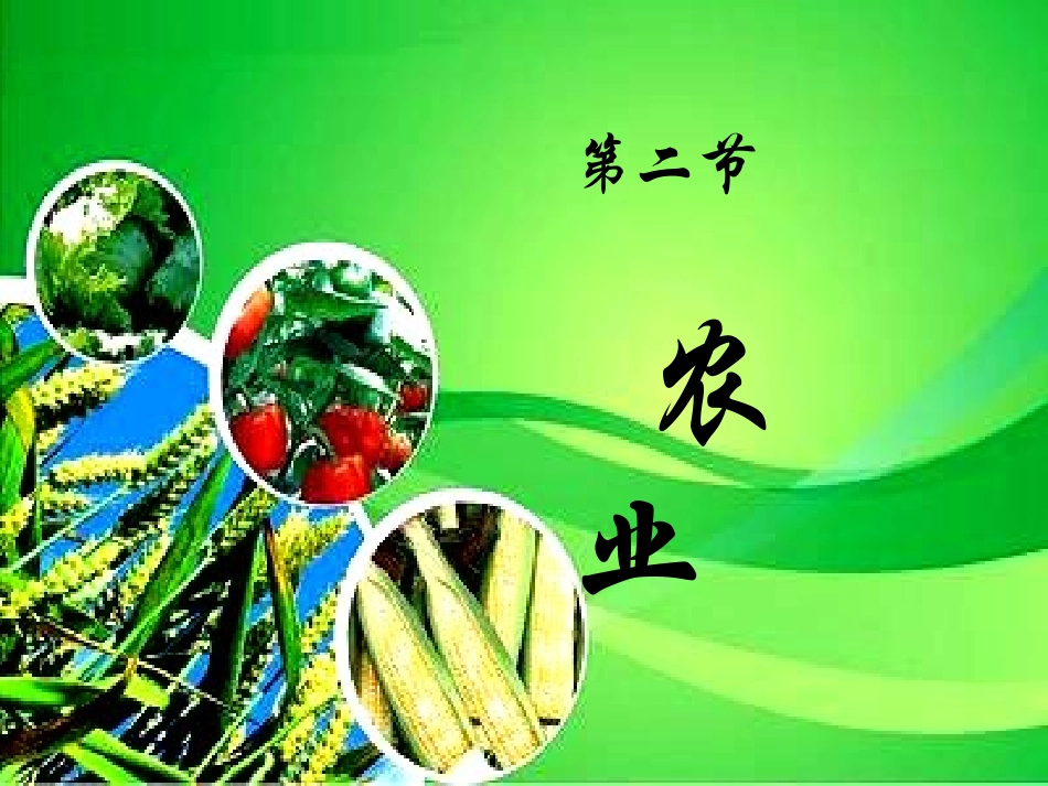 八年级上册地理_第四章第二节农业公开课课件_第1页