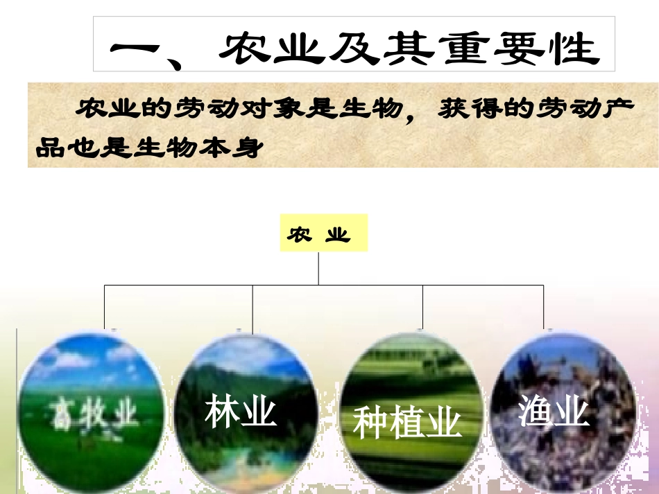 八年级上册地理_第四章第二节农业公开课课件_第2页