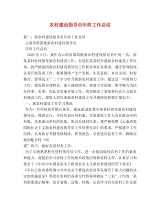 农村建设指导员年终工作总结 