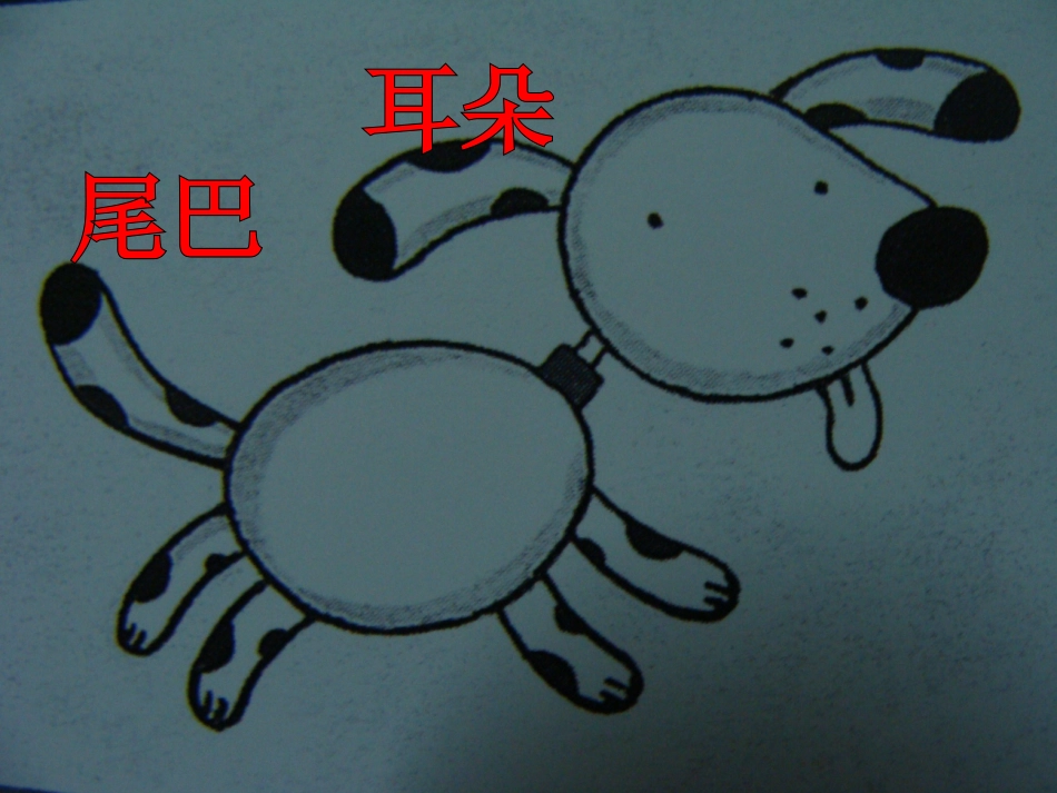 完美的宠物课件_第2页