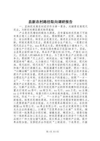 县新农村路径取向调研报告