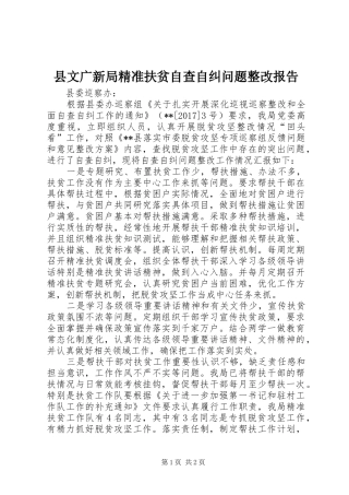 县文广新局精准扶贫自查自纠问题整改报告