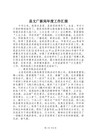 县文广新局年度工作汇报