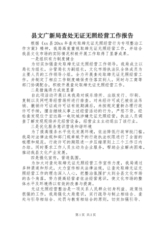 县文广新局查处无证无照经营工作报告