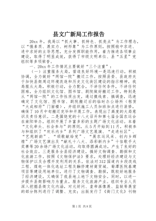 县文广新局工作报告