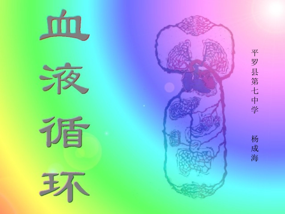 血液循环课件杨成海_第1页
