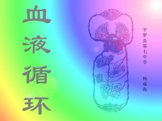 血液循环课件杨成海