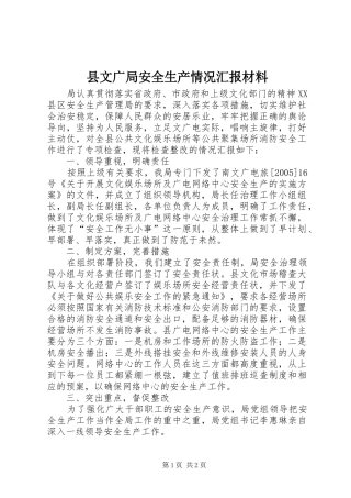 县文广局安全生产情况汇报材料