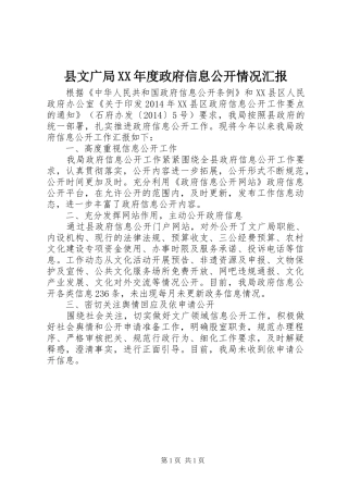 县文广局XX年度政府信息公开情况汇报