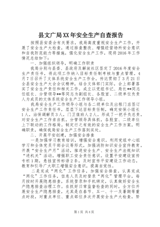 县文广局XX年安全生产自查报告