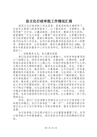 县文化行政审批工作情况汇报