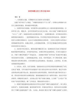 农村妇联主任工作计划2020 