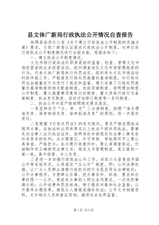 县文体广新局行政执法公开情况自查报告