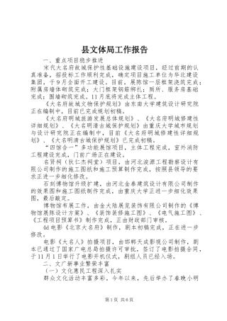 县文体局工作报告