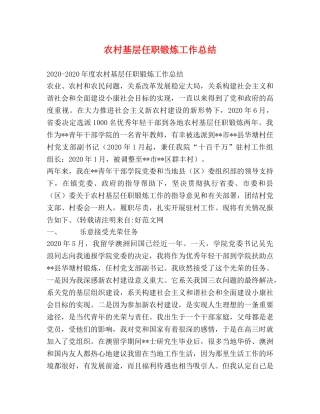 农村基层任职锻炼工作总结 