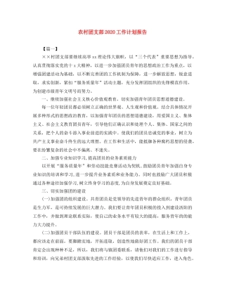 农村团支部2020工作计划报告 