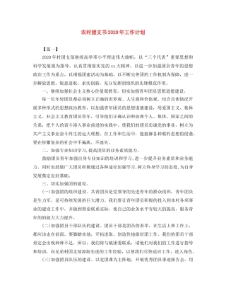农村团支书2020年工作计划 