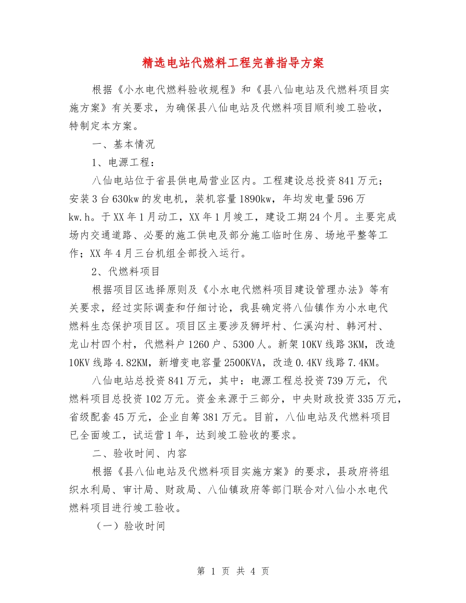 电站代燃料工程完善指导方案_第1页