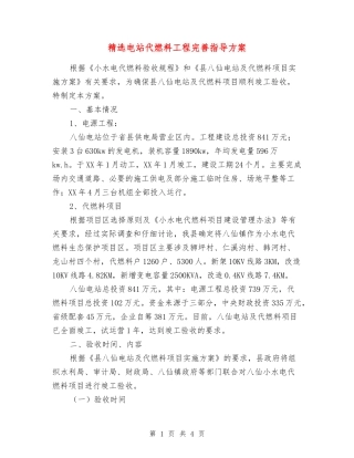 电站代燃料工程完善指导方案