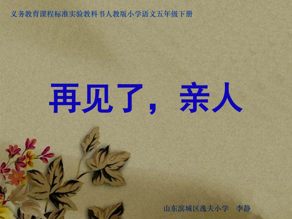 《再见了，亲人》课件【31页】_第1页