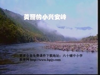 人教版小学语文三年级上册《美丽的小兴安岭》PPT课件