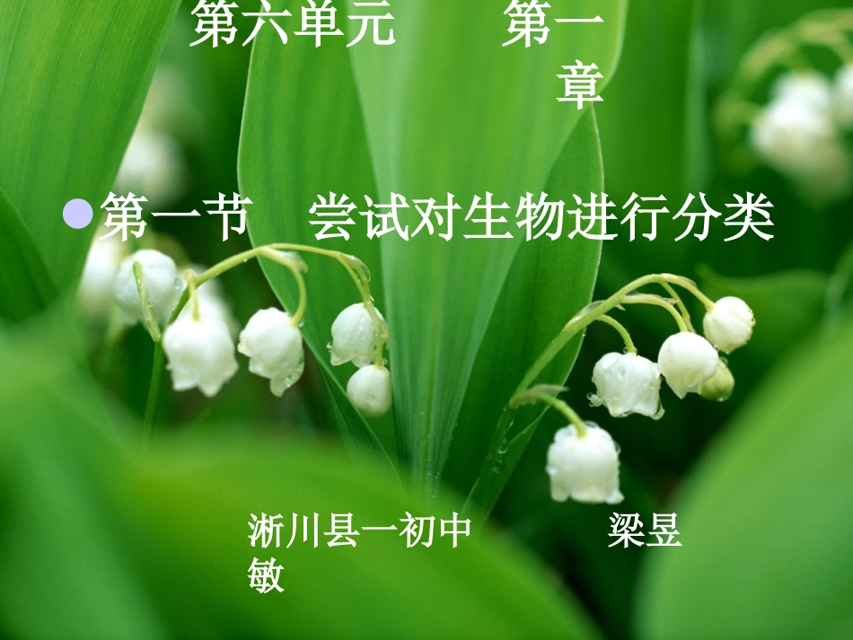 人教版八年级上第6单元第1章尝试对生物进行分类1_第1页