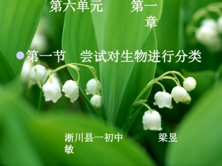 人教版八年级上第6单元第1章尝试对生物进行分类1
