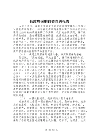 县政府采购自查自纠报告