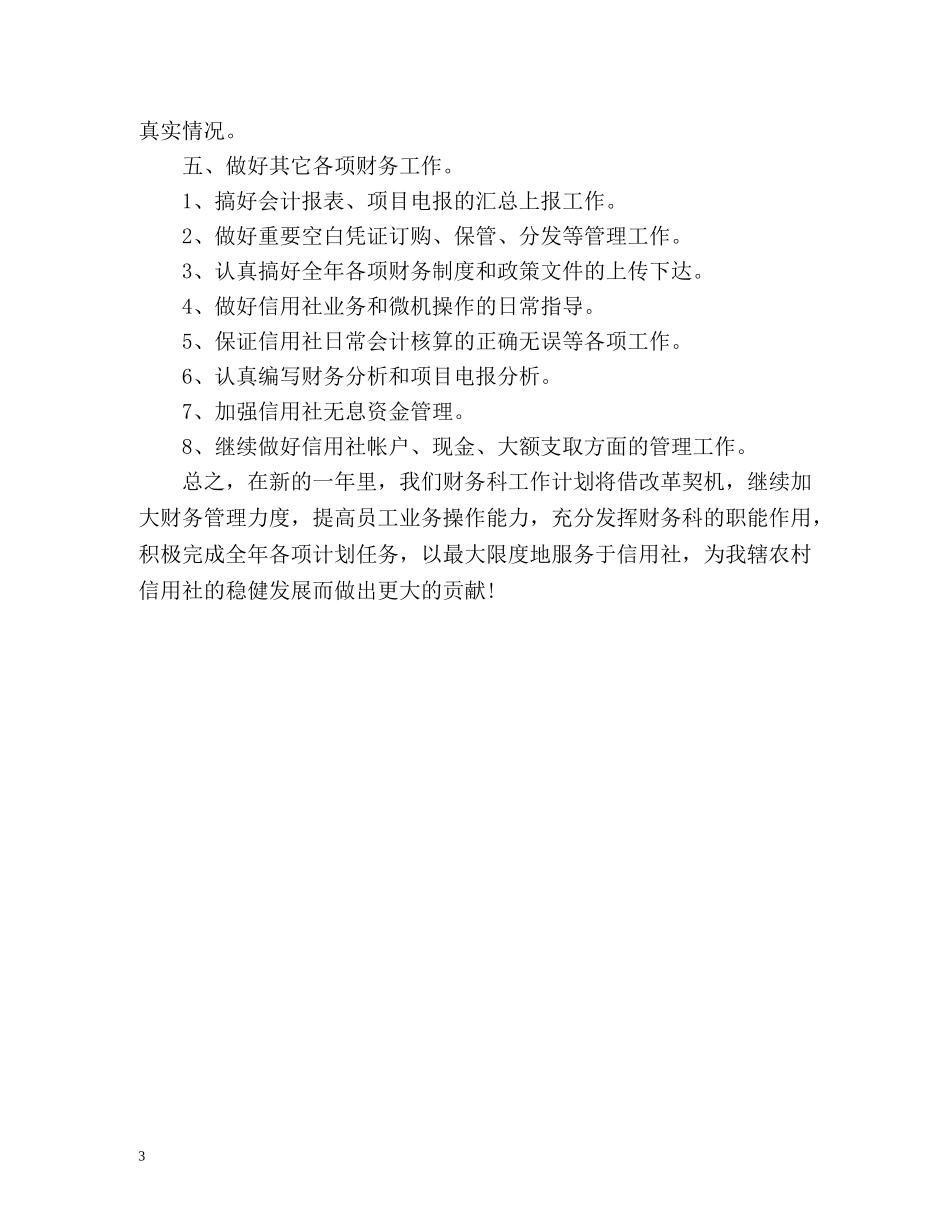 农村信用社财务人员年度工作计划2 _第3页