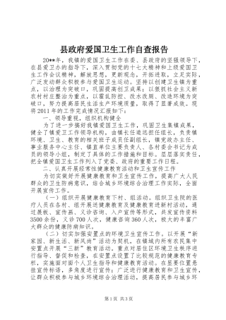 县政府爱国卫生工作自查报告