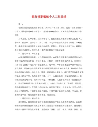 银行挂职锻炼个人工作总结 
