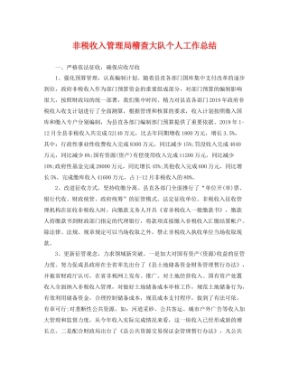 非税收入管理局稽查大队个人工作总结 