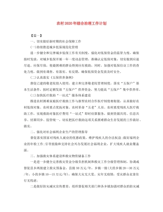 农村2020年综合治理工作计划 