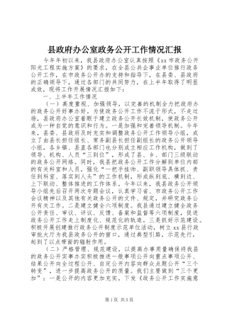 县政府办公室政务公开工作情况汇报