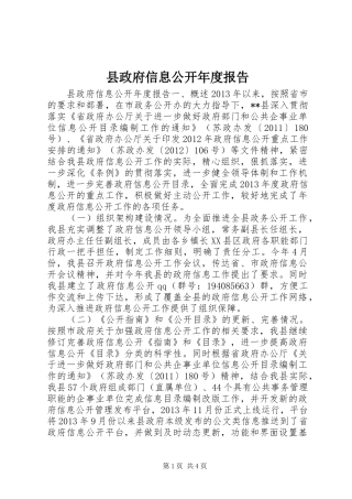 县政府信息公开年度报告