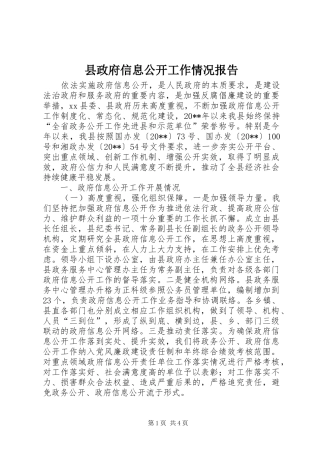 县政府信息公开工作情况报告