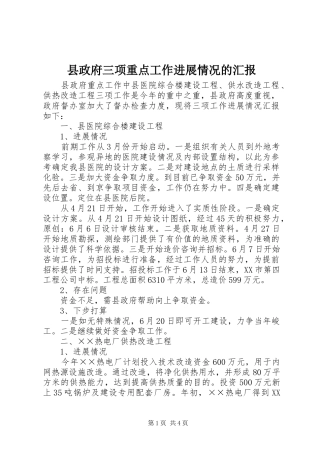县政府三项重点工作进展情况的汇报